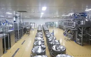 徐之伟 以木匠之心雕琢健康生活之美