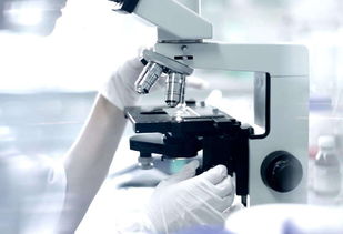 告别过去，2019重新出发 机械设备行业的转型与机遇