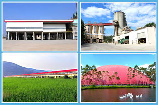 海螺 让绿色成为发展主色调，环保节能技术开发的探索与实践